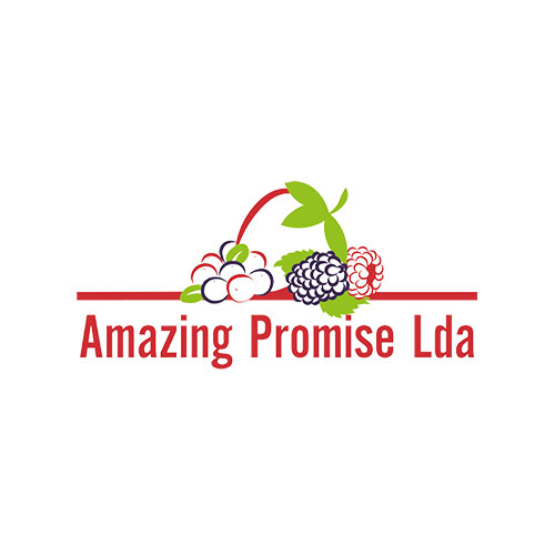Client Item